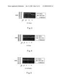 METHOD AND APPARATUS FOR NAMED ENTITY RECOGNITION IN NATURAL LANGUAGE diagram and image