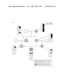 HOMOZYGOTE HAPLOTYPE METHOD diagram and image