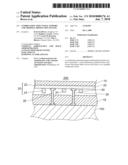 Combination Structural Support And Thermal Protection System diagram and image