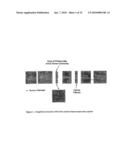 PHOTONIC SENSORS, XEROGEL-BASED SENSORS AND NANOSENSORS diagram and image