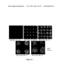 PHOTONIC SENSORS, XEROGEL-BASED SENSORS AND NANOSENSORS diagram and image