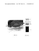 IC Microfluidic Platform With Integrated Magnetic Resonance Probe diagram and image