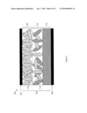 Photoactive Devices and Components with Enhanced Efficiency diagram and image