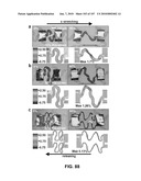 Stretchable and Foldable Electronic Devices diagram and image