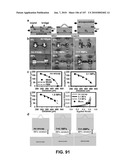 Stretchable and Foldable Electronic Devices diagram and image