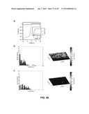 Stretchable and Foldable Electronic Devices diagram and image