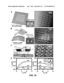 Stretchable and Foldable Electronic Devices diagram and image