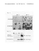 AGENTS FOR TREATING MALIGNANT MESOTHELIOMA diagram and image