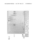 TARGETED IMMUNE CONJUGATES diagram and image