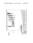 TARGETED IMMUNE CONJUGATES diagram and image