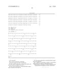 Human Hookworm Vaccine diagram and image