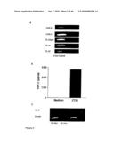 Compositions and Methods Relating to Treatment of Cancer and Infectious Diseases diagram and image