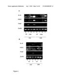 Compositions and Methods Relating to Treatment of Cancer and Infectious Diseases diagram and image