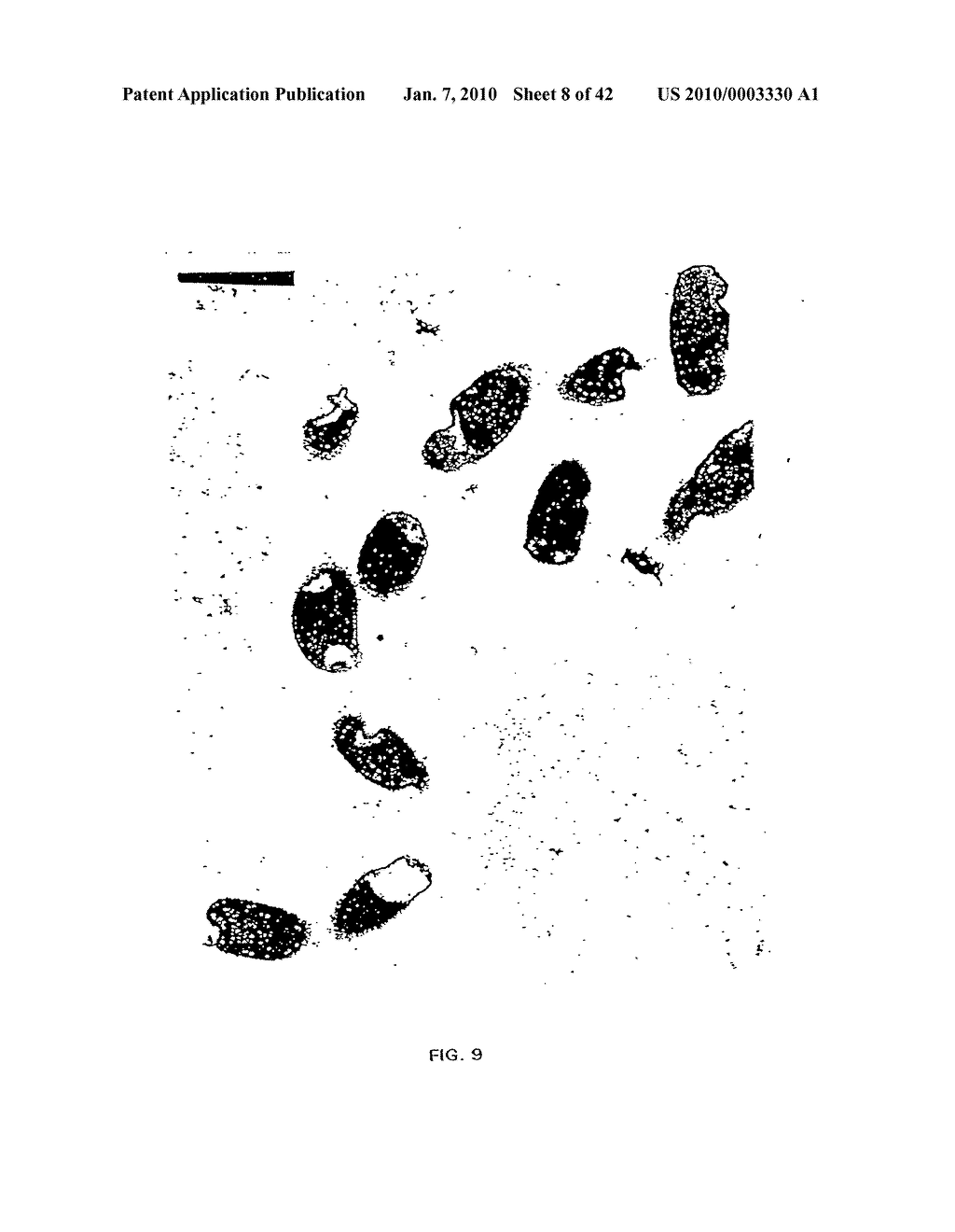 ANTIMICROBIAL NANOEMULSION COMPOSITIONS AND METHODS - diagram, schematic, and image 09