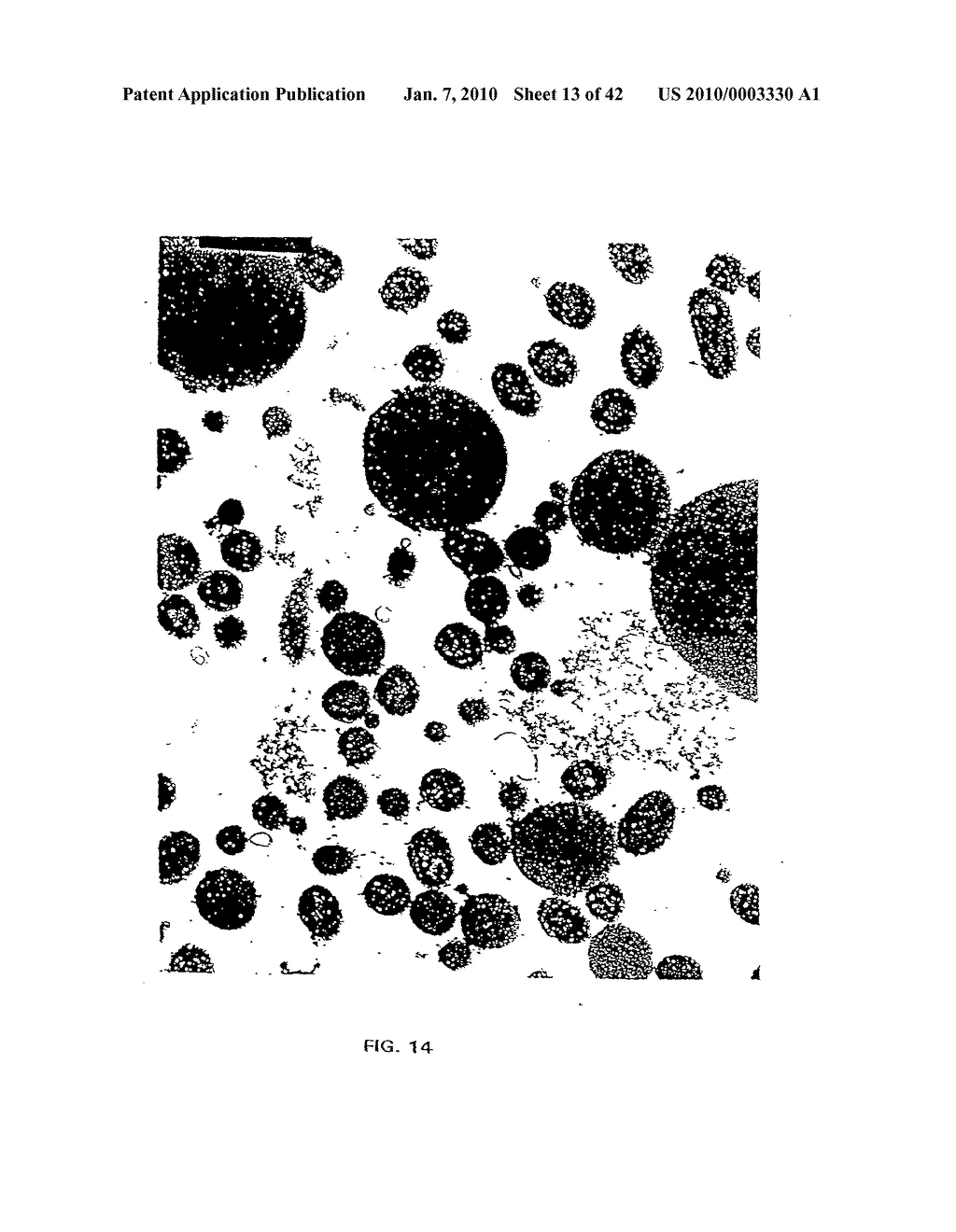 ANTIMICROBIAL NANOEMULSION COMPOSITIONS AND METHODS - diagram, schematic, and image 14