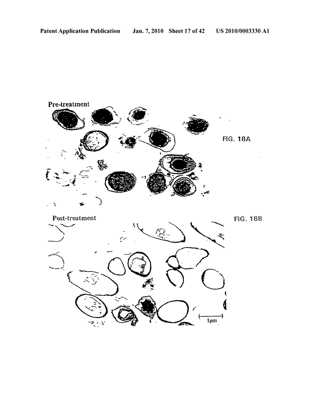 ANTIMICROBIAL NANOEMULSION COMPOSITIONS AND METHODS - diagram, schematic, and image 18