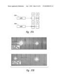 COMPOSITIONS AND METHODS FOR TREATING DIGESTIVE DISORDERS diagram and image