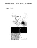 VESICLES OF SELF-ASSEMBLING BLOCK COPOLYMERS AND METHODS FOR MAKING AND USING THE SAME diagram and image