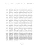 Cloning, expression and use of acid phospholipases diagram and image