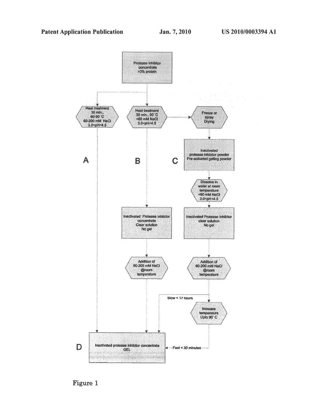 PROTEIN GEL FORMATION - diagram, schematic, and image 02