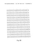 CDNA FOR HUMAN METHYLENETETRAHYDROFOLATE REDUCTASE AND USES THEREOF diagram and image