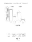 CDNA FOR HUMAN METHYLENETETRAHYDROFOLATE REDUCTASE AND USES THEREOF diagram and image