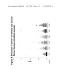 Cln101 Antibody Compositions and Methods of Use Alone and in Combination with Prostate Specific Antigen and Other Cancer Markers diagram and image
