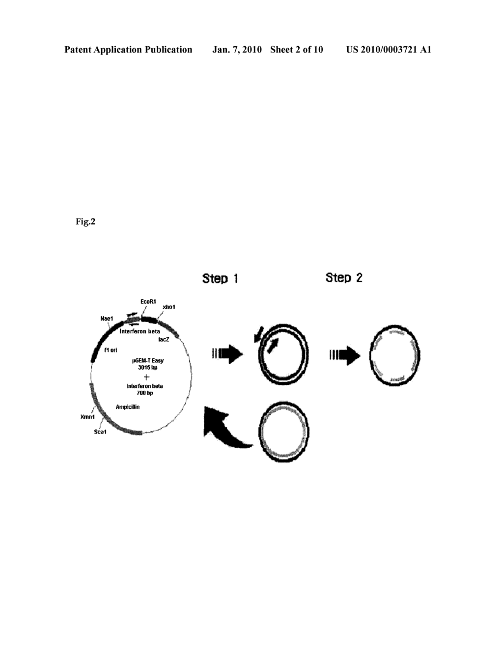 HUMAN INTERFERON-BETA MUTEIN - diagram, schematic, and image 03