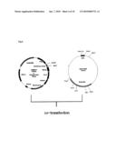 HUMAN INTERFERON-BETA MUTEIN diagram and image