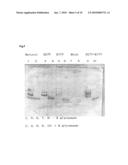 HUMAN INTERFERON-BETA MUTEIN diagram and image