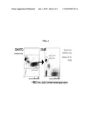 FLOW CYTOMETER FOR DIAGNOSIS OF HIV INFECTIONS diagram and image