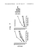 CULTURED XENOPUS LAEVIS CELL LINES EXPRESSING MUTANT ADENOMATOUS POLYPOSIS COLI GENE diagram and image