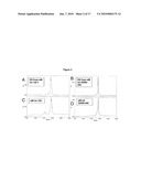 NOVEL BMP-12-RELATED PROTEINS AND METHODS OF THEIR MANUFACTURE diagram and image