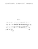 NOVEL BMP-12-RELATED PROTEINS AND METHODS OF THEIR MANUFACTURE diagram and image