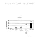 COMPOSITIONS OF PHOSPHODIESTERASE TYPE IV INHIBITORS diagram and image