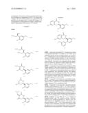 2-Amino-7,8-dihydro-6H-pyrido[4,3-D]pyrimidin-5-ones diagram and image