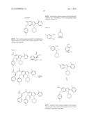 VIRAL INHIBITORS diagram and image