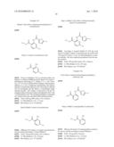 Iminooxazolidine Derivatives and Their Use diagram and image