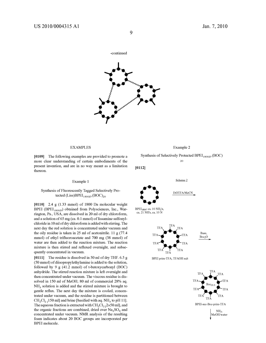 Biodegradable Cross-Linked Branched Poly(Alkylene Imines) - diagram, schematic, and image 15