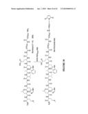 MULTIFUNCTIONAL CARRIERS FOR THE DELIVERY OF NUCLEIC ACIDS AND METHODS OF USE THEREOF diagram and image