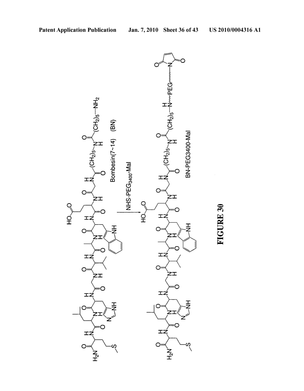 MULTIFUNCTIONAL CARRIERS FOR THE DELIVERY OF NUCLEIC ACIDS AND METHODS OF USE THEREOF - diagram, schematic, and image 37