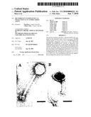 Recombinant Staphylococcal Phage Lysin as an Antibacterial Agent diagram and image