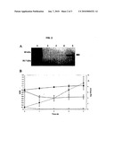 Recombinant Staphylococcal Phage Lysin as an Antibacterial Agent diagram and image