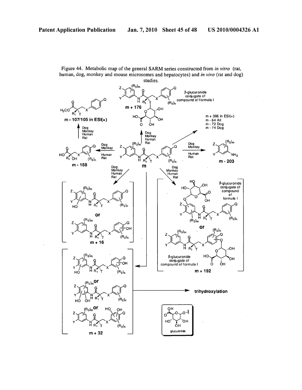 METABOLITES OF SELECTIVE ANDROGEN RECEPTOR MODULATORS AND METHODS OF USE THEREOF - diagram, schematic, and image 46