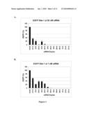 METHODS AND COMPOSITIONS FOR THE SPECIFIC INHIBITION OF GENE EXPRESSION BY DOUBLE-STRANDED RNA diagram and image