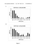 METHODS AND COMPOSITIONS FOR THE SPECIFIC INHIBITION OF GENE EXPRESSION BY DOUBLE-STRANDED RNA diagram and image