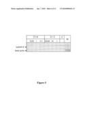 METHODS AND COMPOSITIONS FOR THE SPECIFIC INHIBITION OF GENE EXPRESSION BY DOUBLE-STRANDED RNA diagram and image