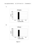 METHODS AND COMPOSITIONS FOR THE SPECIFIC INHIBITION OF GENE EXPRESSION BY DOUBLE-STRANDED RNA diagram and image