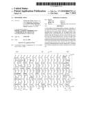 Polymeric Stent diagram and image