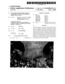 OPEN-PORE BIOCOMPATIBLE SURFACE LAYER FOR AN IMPLANT, METHODS OF PRODUCTION AND USE diagram and image